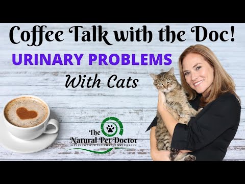 Urinary Problems with Cats with Dr. Katie Woodley - The Natural Pet Doctor