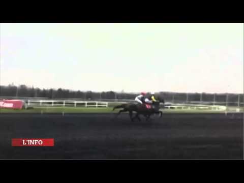 Essai de Bird Parker au monté