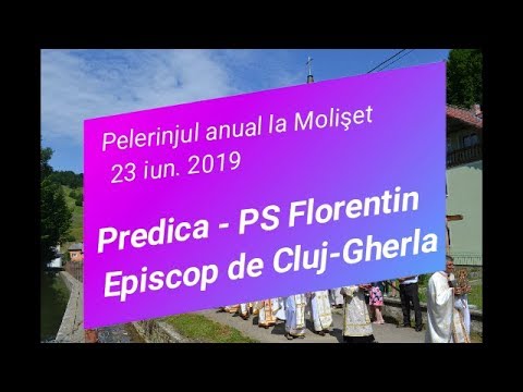 Duminica tuturor sfinţilor - Mănăstirea OSBM Molişet - PS Florentin despre sfintenie şi preoţie