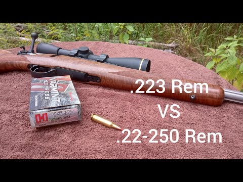 Is The .22-250 Remington Right For You?
