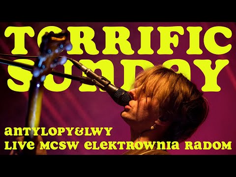Terrific Sunday Antylopy&lwy Live MCSW Elektrownia