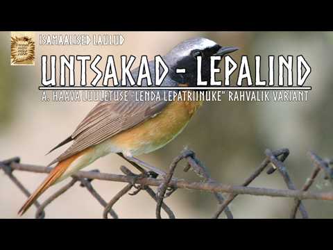 Untsakad - Lepalind (sõnadega)