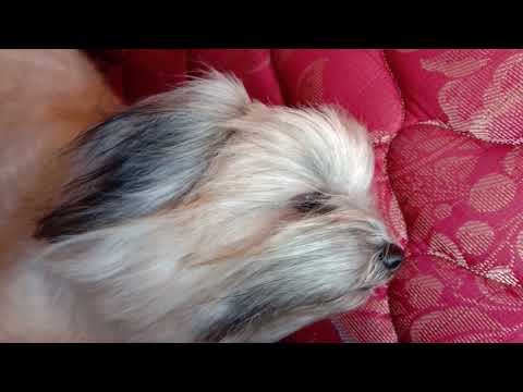 feel the fresh Air ❤️ lovely moment 😍