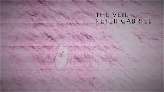 &#39;The Veil&#39; (Decrypted Remix) ~ Peter Gabriel