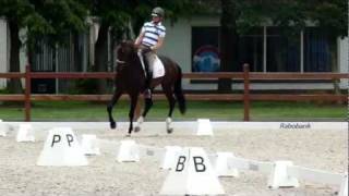 Video of Amazing Star