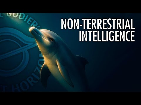 What We Know About Dolphin Minds with Dr. Diana Reiss