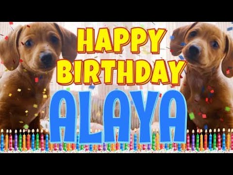 Happy Birthday Alaya! ( Funny Talking Dogs ) What Is Free On My Birthday