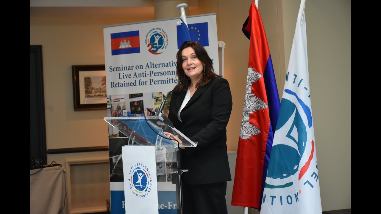 Alternatives to Live Mines for Training: Opening, European Union