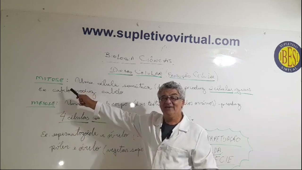 divisao celular aula 2024