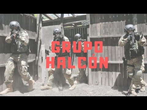 Grupo halcón a los tiros en pleno allanamiento | así es como operan las fuerzas armadas en argentina