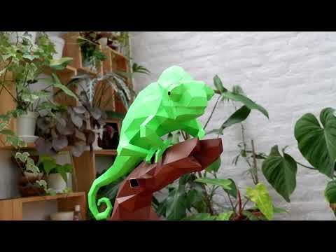 Chameleon Model