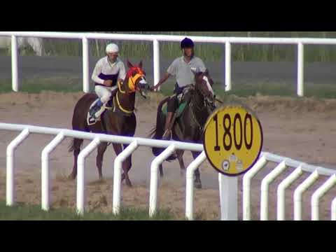 210408 c08 - 1° MOHICANO BO - CARRERAS SINT MELO -