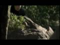 Damsel In Disguise Trailer