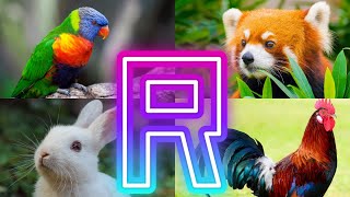Animals And Birds Starting with R || Amazing Animals Starting With R
