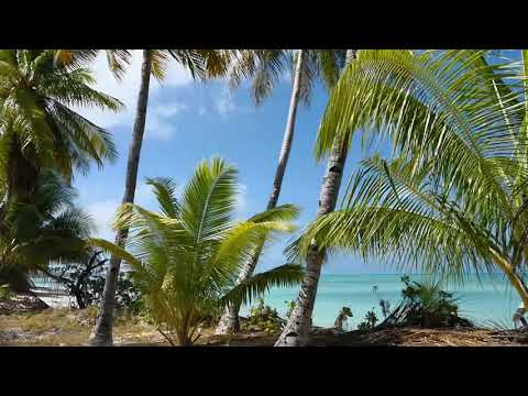 On the way to Abemama airstrip