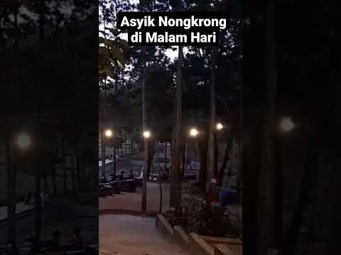 Nikmati waktu berkualitas bersama keluarga di Lembah Akasia Pringsewu, tempat asyik untuk anak dan orang dewasa! 🎉🌿