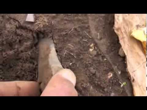 MUST SEE from OSG! 8 18 13