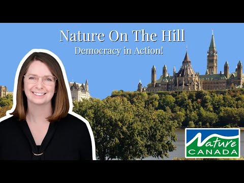 Nature Canada's Nature On The Hill - Democracy in Action!!