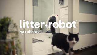 Litter-Robot Comment Fonctionne les Litières Automatiques