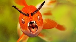 Video thumbnail for TB-303 Devil Fish by TB-303 Devil Fish