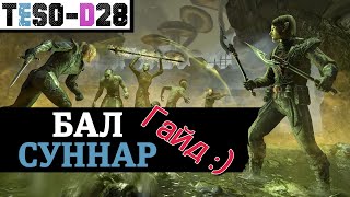 Бал-Суннар (Гайд по подземелью) Bal Sunnar guide. TESO(2023)