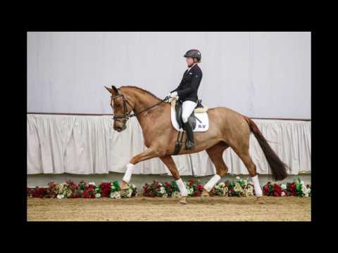 19  Fabiola Stute v. Fürst Piccolo - Festivo