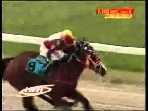 Resumen Viernes, 11 de Julio de 2014 - Valencia