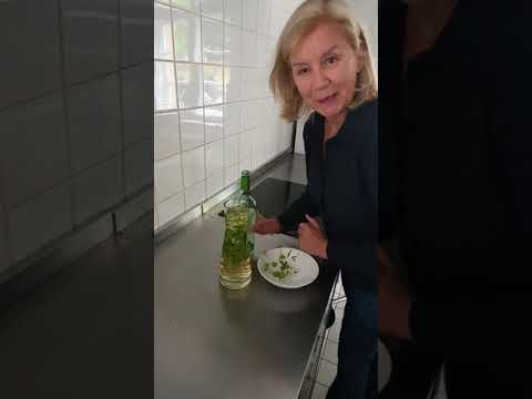 Waldmeister – bekannt aus der traditionellen Maibowle und wir zeigen euch wie man Maibowle ansetzt