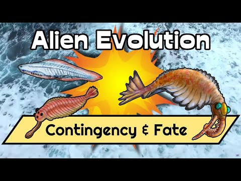 Alien Biosphere Evolution #3: Contingency Decides Life's Fate