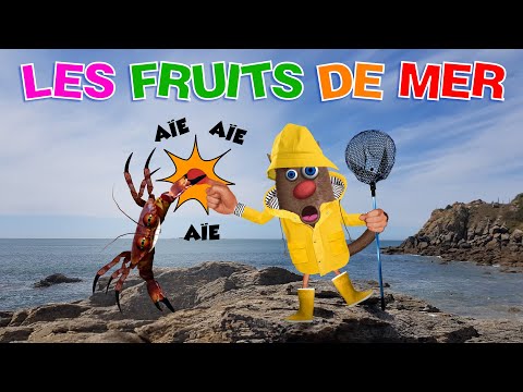 Foufou - Les Fruits de Mer pour les Enfants/Let's Learn Seafood for Kids (S01) 4 k