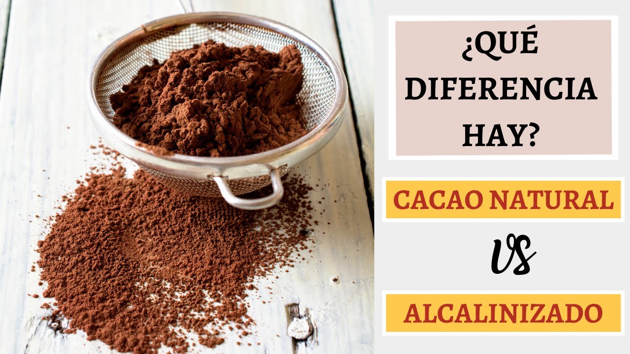 ¿Qué es el cacao en polvo alcalinizado? LIB Answers