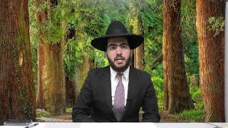 האם מותר לטלטל בשבת ברחוב בזמננו | הרב יצחק מאזוז | סימן שמה ז (מוסדות כיסא רחמים) - התמונה מוצגת ישירות מתוך אתר האינטרנט יוטיוב. זכויות היוצרים בתמונה שייכות ליוצרה. קישור קרדיט למקור התוכן נמצא בתוך דף הסרטון