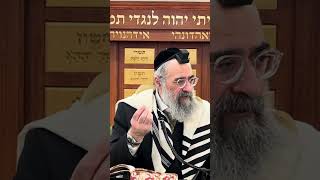 כלל גדול בהוראה (הרב יצחק ישראלי) - התמונה מוצגת ישירות מתוך אתר האינטרנט יוטיוב. זכויות היוצרים בתמונה שייכות ליוצרה. קישור קרדיט למקור התוכן נמצא בתוך דף הסרטון