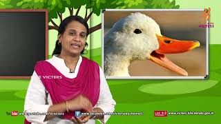 Standard 4 | Environmental Studies | Class – 04