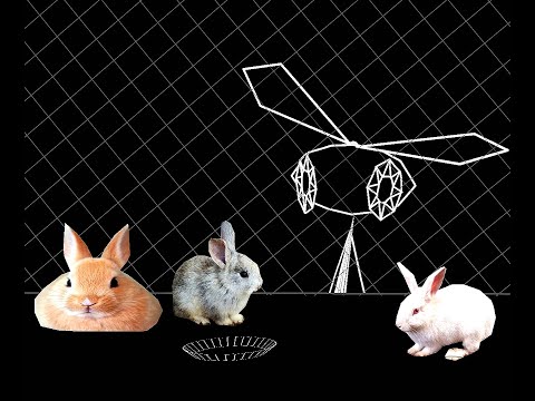 showing vibri things she's never seen before