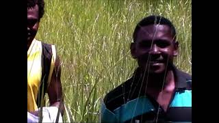 Download lagu Wausin grup mp3