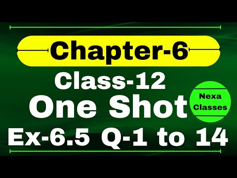 One Shot Ex 6.5 Class12 | Chapter 6 | Class 12 One Shot Ex 6.5 Math | Ex 6.5 Class 12 in One Shot