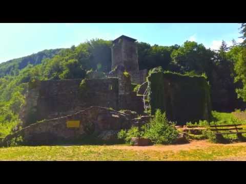 Heidelberg - Neckarsteinach Journey into the Past