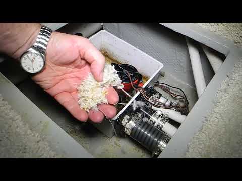 Shower sump pump