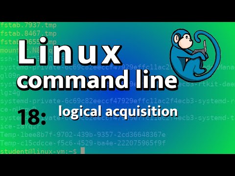 LCL 18 - logical acquisition with rsync, tar, 7z - Linux Command Line tutorial for forensics