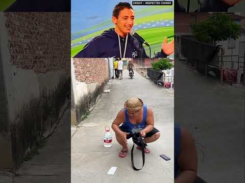 This Man lost our oil funny video 🤣