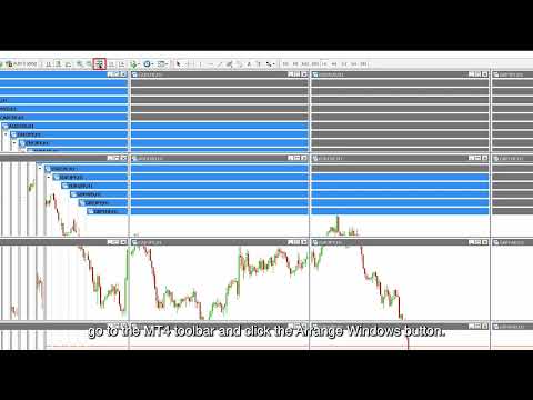 Video One Click Open 28