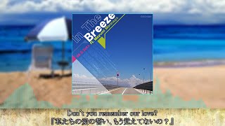 【歌詞・日本語訳付き】『In The Breeze』 - 96 & Sota ft. Mayumi Morinaga【BEMANI】