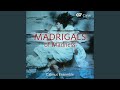 Gesualdo: Fifth Book Of Madrigals - No. 5 O dolorosa gioia
