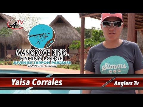 Mangrove King Fishing Lodge, Campeche, México