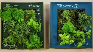 Bring the Outdoors in with a DIY Indoor Herb Garden