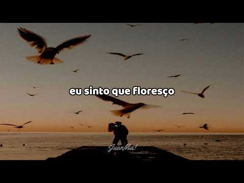 Mon Laferte- Amor Completo (legendado)