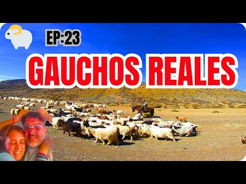 🐑  TRANSUMANCIA Real BLOQUEA Ruta 40 | Chos Malal - Temp 2025 EP:23
