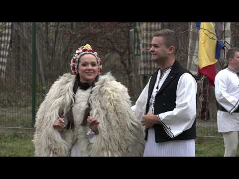 Radu Goța - De-ar cădea odată bruma