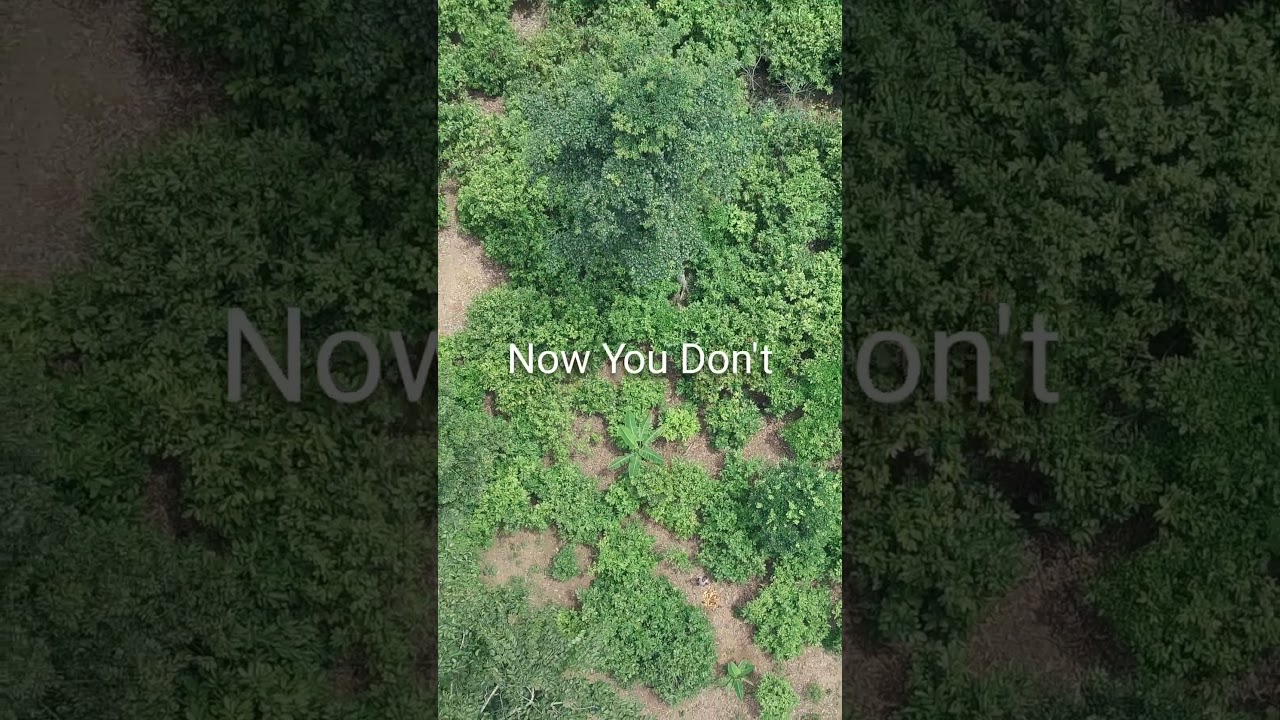 Now you see me, now you dont